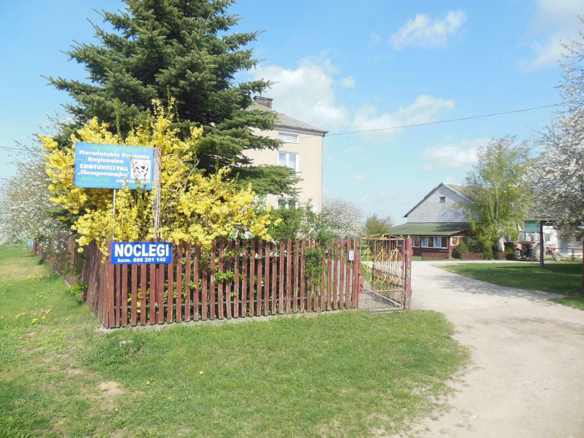 Niezapominajka Villa Jenki Exterior foto